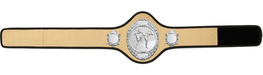 THAI BOXING CHAMPIONSHIP BELT-PRO286/S/TBOS-10+ COLOURS